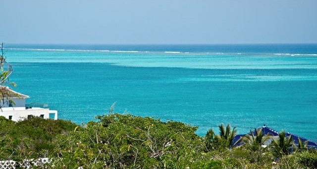 Blue Mountain Ocean View Land