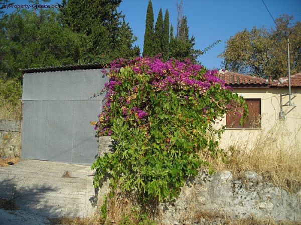 Lagopodo_12 - 2