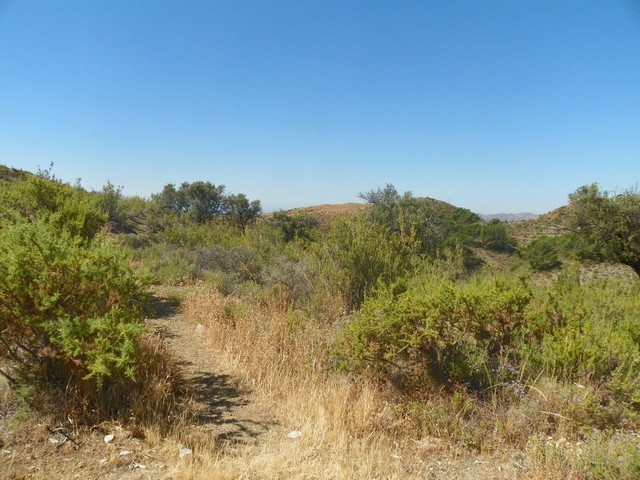Land - Great opportunity to purchase an.. - 2