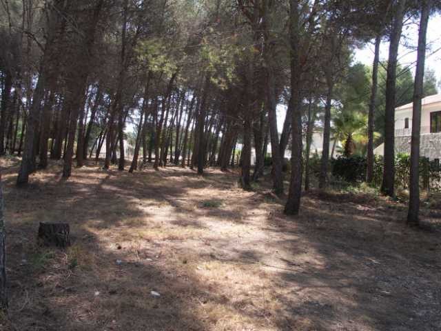 Plot in Javea