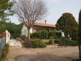 Pretty And Spacious Single Storey Villa