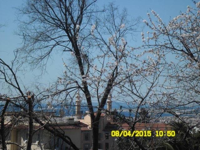 Delightful two bed in Cimiez - 2