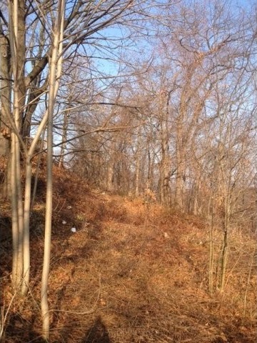 Land For Sale: West Harrison, New York