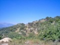 Land For Sale Close To A Traditional.. - 2