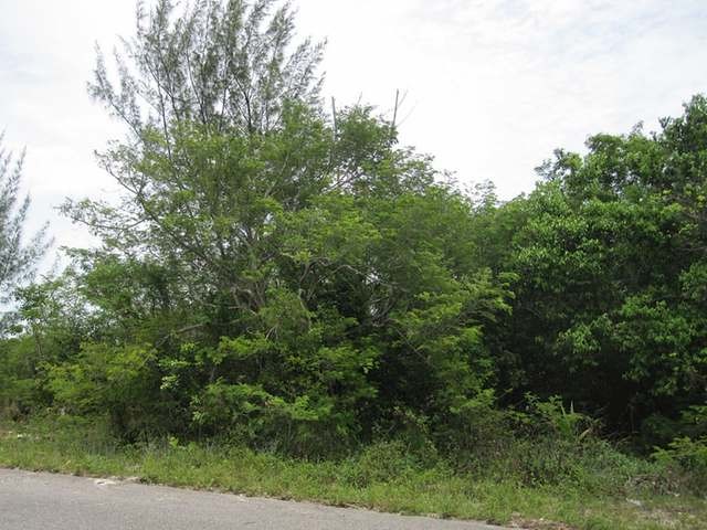 Singlefamilyvacant - This large single.. - 2