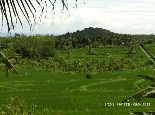 Land For Sale Lombok Nusa Tenggara..