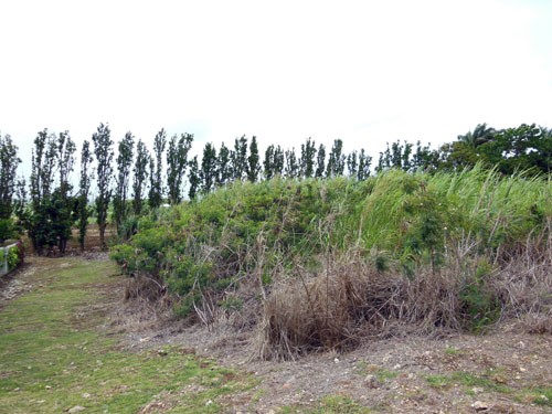 Property For Sale: Mount Wilton, Bella.. - 2