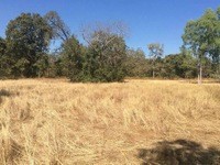 Land For Sale Prathai Nakhon Ratchasima.. - 2