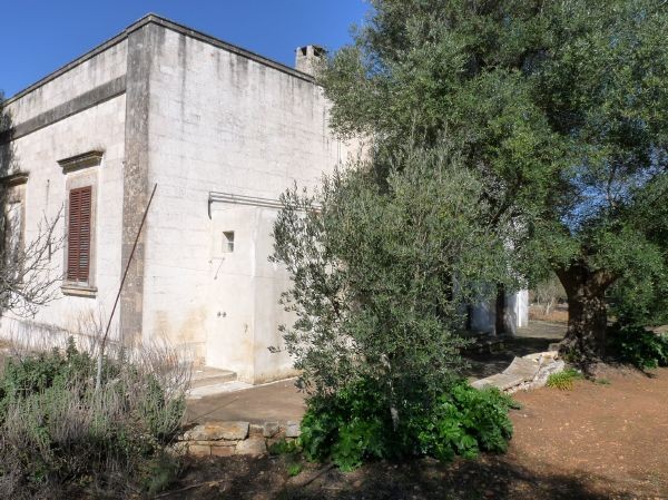 Casina Pinuccio - € 550000