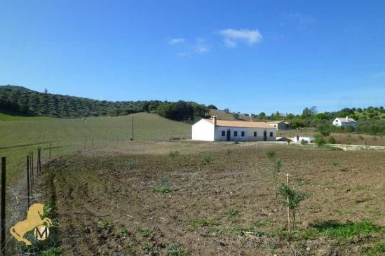 Finca mit Haus zum Ausbau Villamartin..