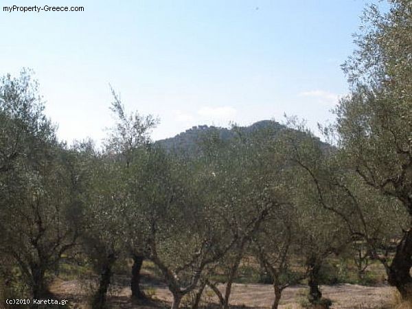 Land - Zakynthos - For Sale