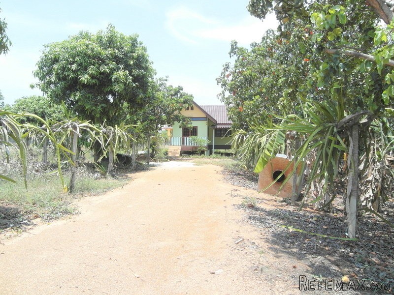 12 Rai plot of land in Pong, 3 min... - 2
