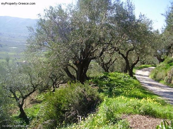 Land - Zakynthos - For Sale - 2