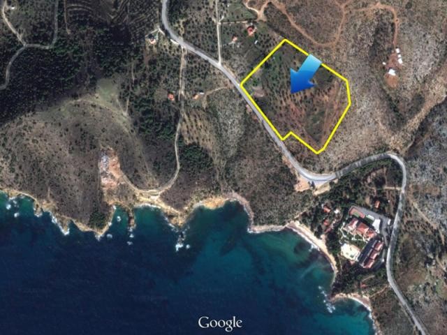 B365 - Land parcel of 34.000 sq.m. in..