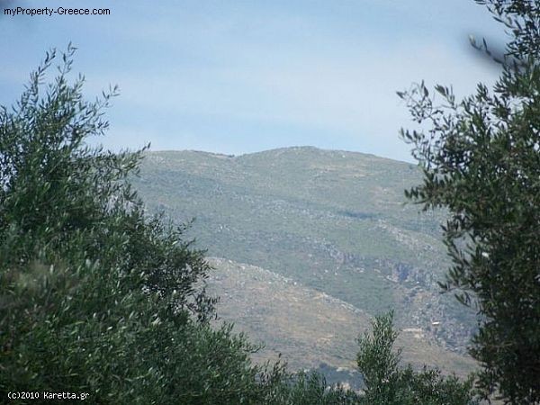 Land - Zakynthos - For Sale - 2