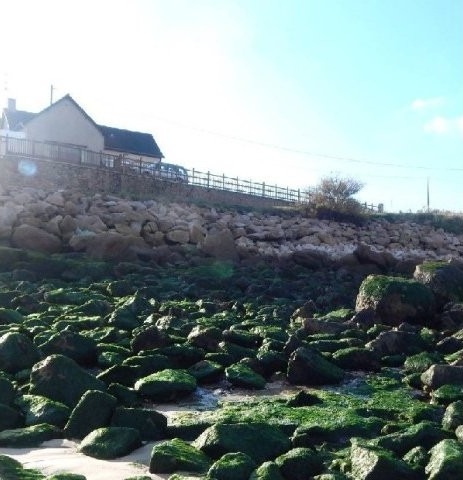 Beach Front House, Great Location - 2