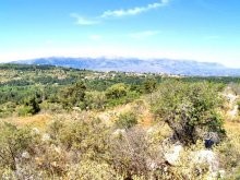 Properties In Greece - 2
