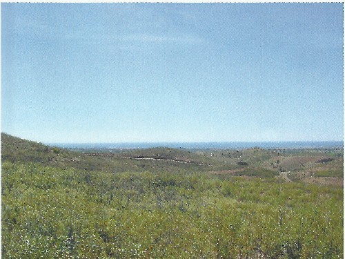 Land - Plot of land with 100.000sq-mt...