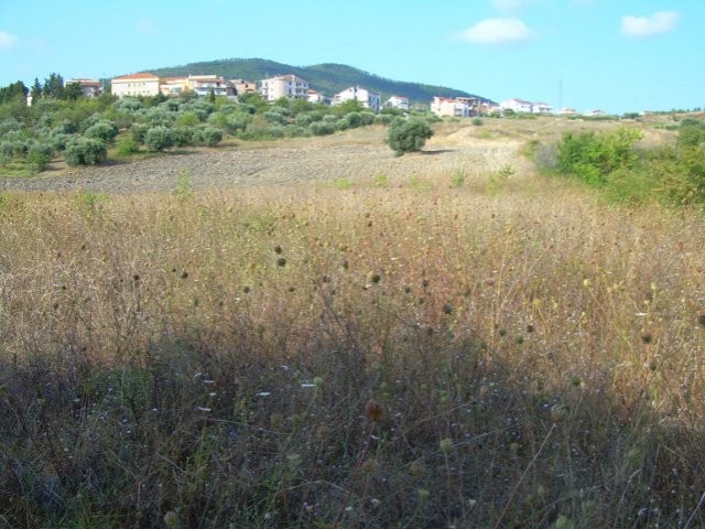 Land for sale in Molise - Terreno.. - 2