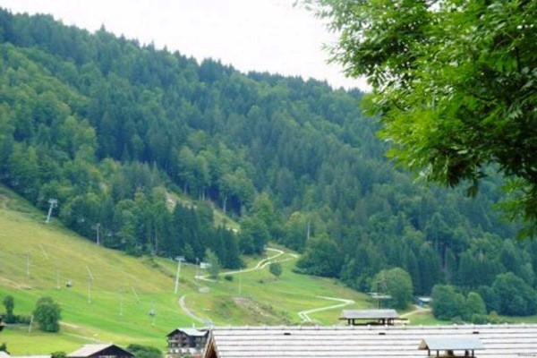 3 bedroom renovated apartment 600m from.. - 2