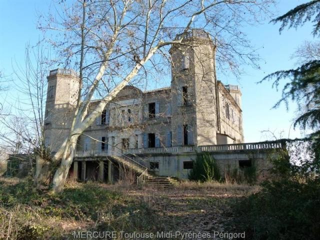 Castle For Sale: 81310 TARN - 2