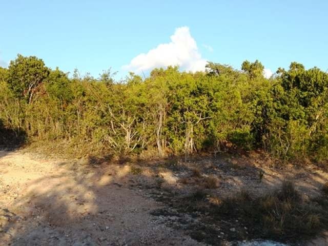 Singlefamilyvacant - Great Multi Family.. - 2