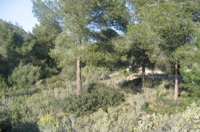 Large And Flat Plot With Views To..