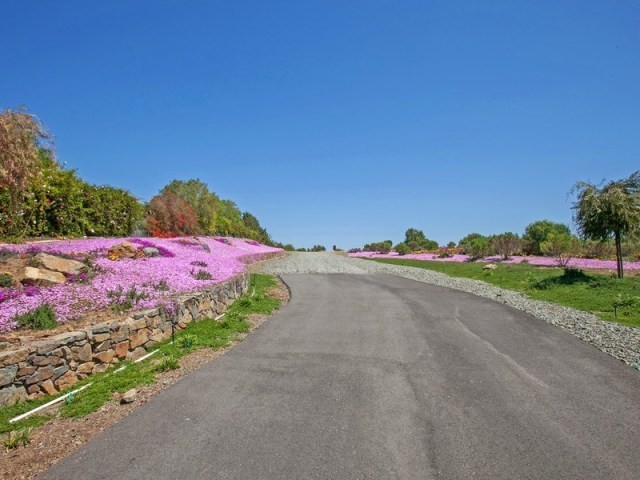 6598 Calle Reina Rancho Santa Fe.. - 2