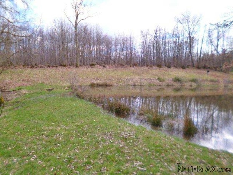Lake On Almost 4,000 Sqm Of Land In The - 2