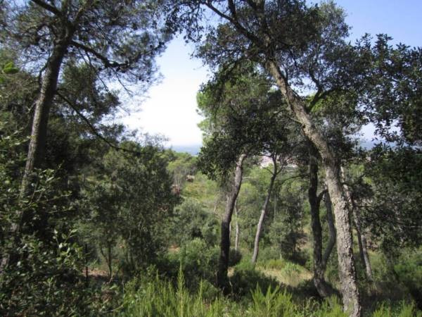 PLOT IN URB. CASA DE CAMPO- BEGUR - 2