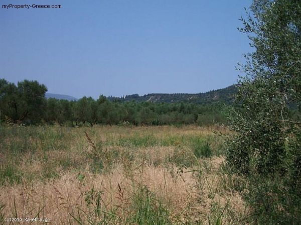 Land - Zakynthos - For Sale - 2