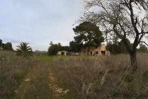 Son Servera, Finca with project+licence..