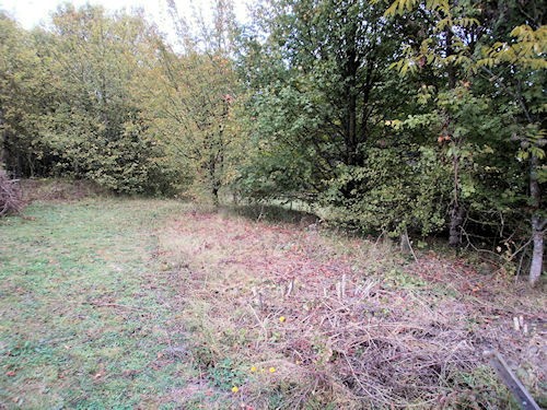At The End Of A Little Lane.... - 2