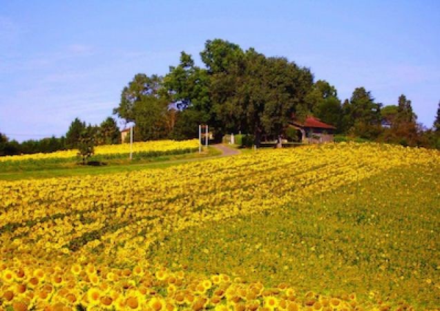 Fully-furnished Country Cottage - 2