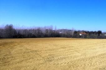 Possibility To Buy This Building Plot..