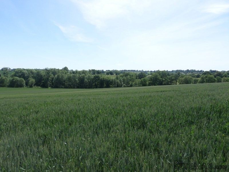 Countryside Barn to Renovate, Open Views - 2