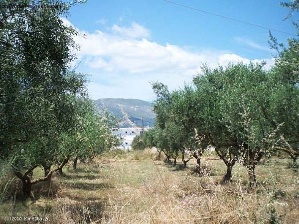 Land - Zakynthos - For Sale