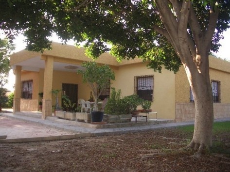 Large Villa Near Elche - 2