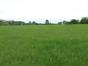 LOT ET GARONNE land a batir of 2000 m2