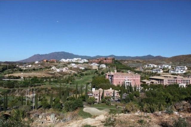 Los Flamingos Plot