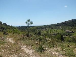 Son Macià, finca plot of about 60.250m2.. - 2