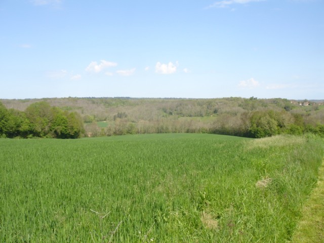 25152 - Vente - Terrain - Vergt