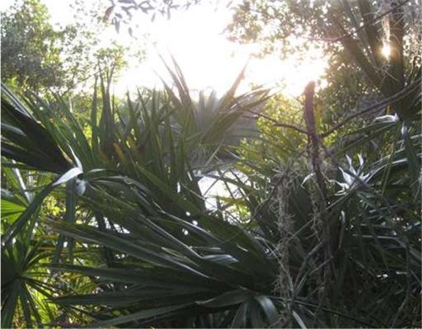 Land For Sale: 305 North Point Road.. - 2