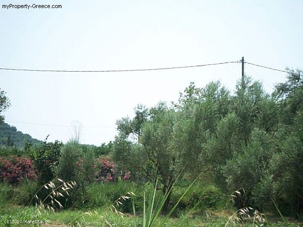 Land - Zakynthos - For Sale