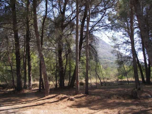 Plot in Javea - 2