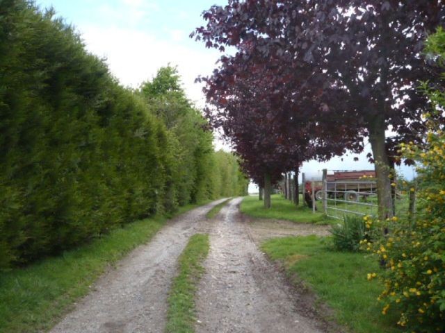 Farmhouse with Outbuildings - 2