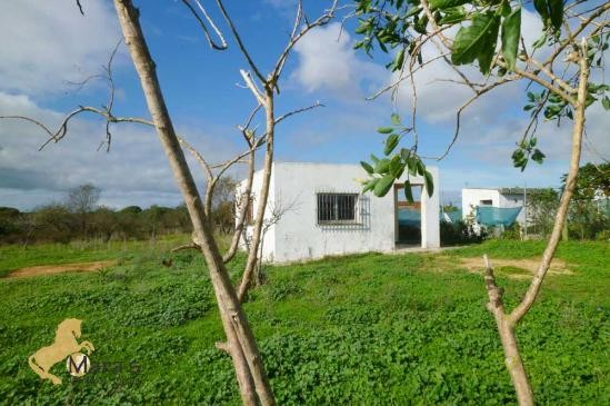 small farm house, finca, for sale..