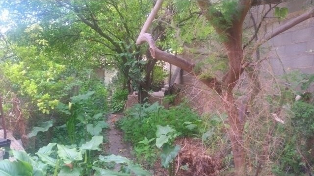 3 Bedrooms - House - Islas Baleares -..