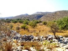 Land In Crete For Sale - 2