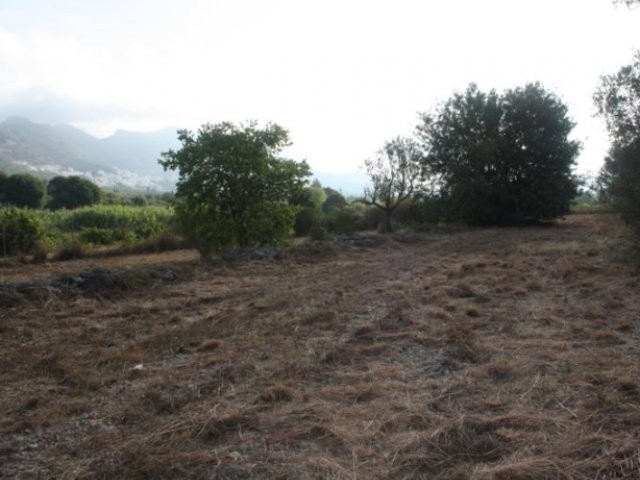 - Property - Alicante - For Sale